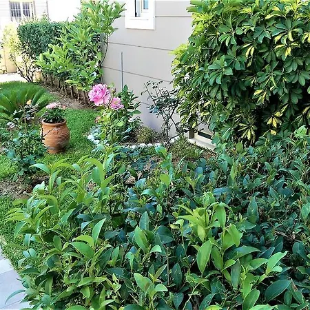 Maria's Rose Garden Apartment