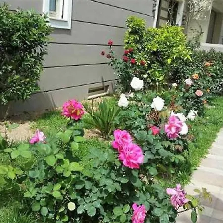 Apartment Maria's Rose Garden